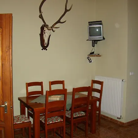 Vadasz Panzio Gæstehus *